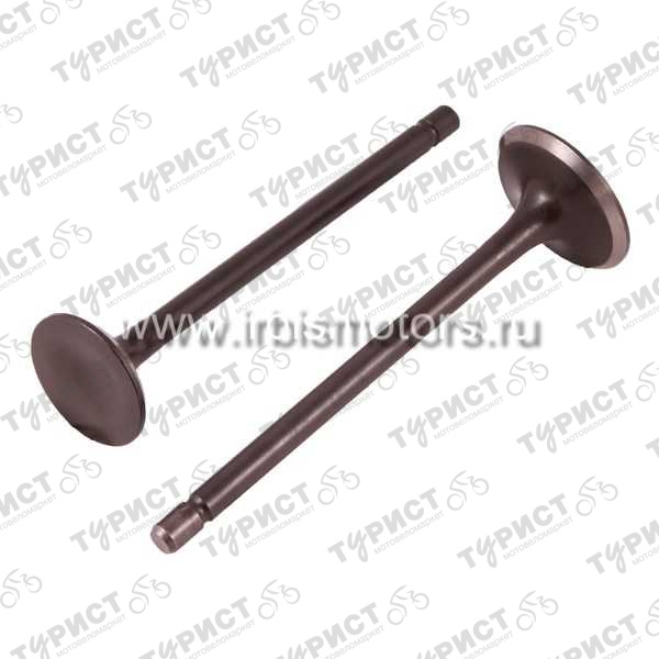 Клапана 125 См3 156Fmi D*24/29 К-Т